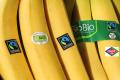 Fairtrade | Bananenaktion
