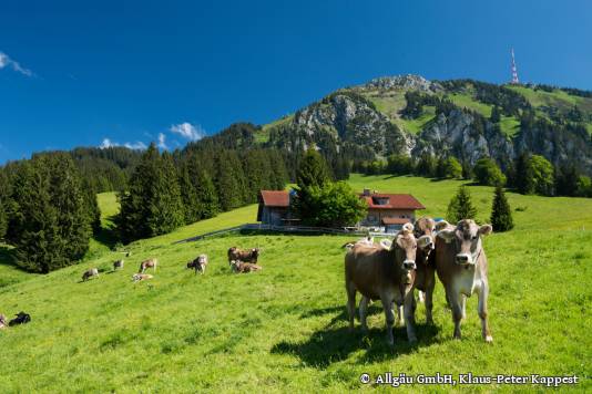 Auf dem Grünten, ©Allgäu GmbH, Klaus-Peter Kappest, Lizenz CC BY SA DE 3.0, https://creativecommons.org/licenses/by-sa/3.0/de/, keine Änderungen am Original